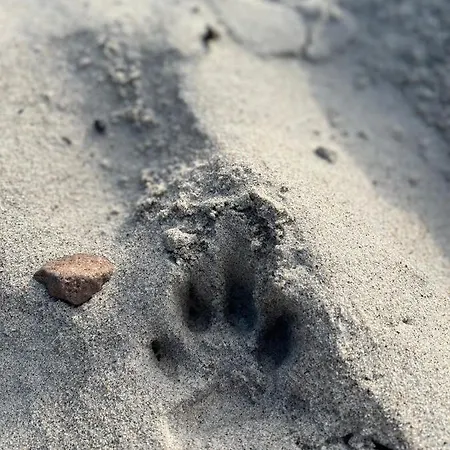 Sunrise Podczele Lägenhet