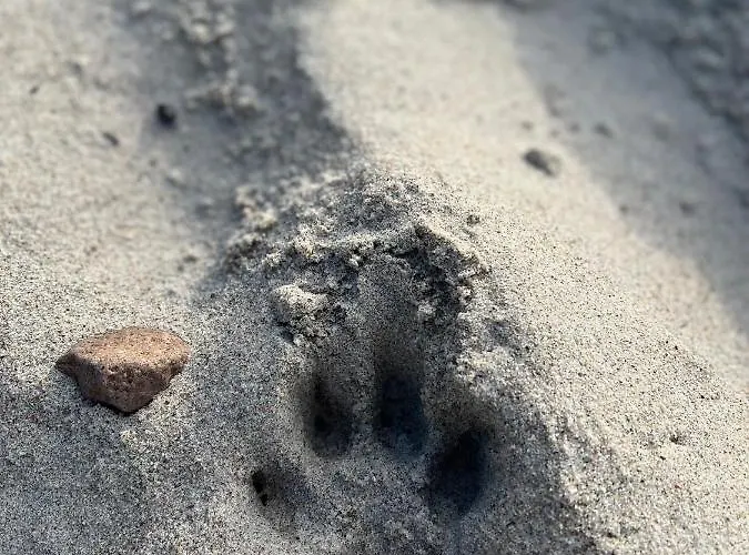 Sunrise Podczele Апартаменты